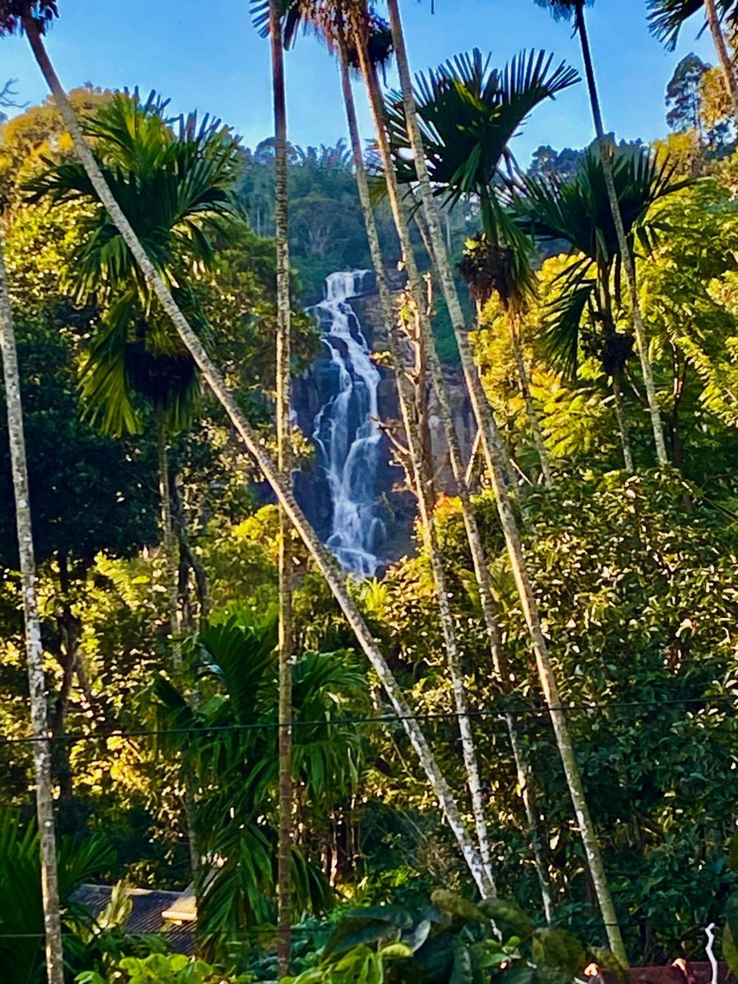 Cozy Homestay Waterfall Road Ella Eksteriør billede