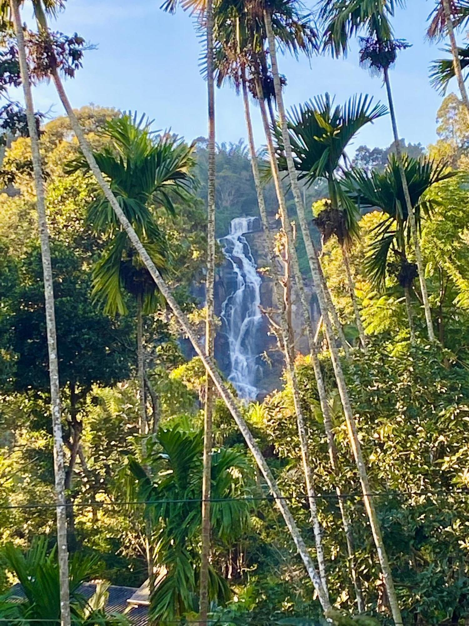 Cozy Homestay Waterfall Road Ella Eksteriør billede